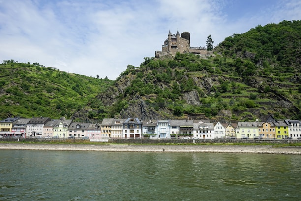 A scenic view of a historic castle surrounded by lush greenery.
