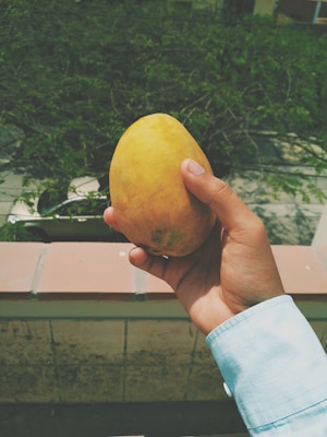 A hand is holding a ripe, yellow mango outdoors with greenery and a street visible in the background. The hand is dressed in a light blue long-sleeve shirt.