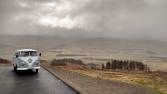 white and gray Volkswagen van on road beside grass at daytime