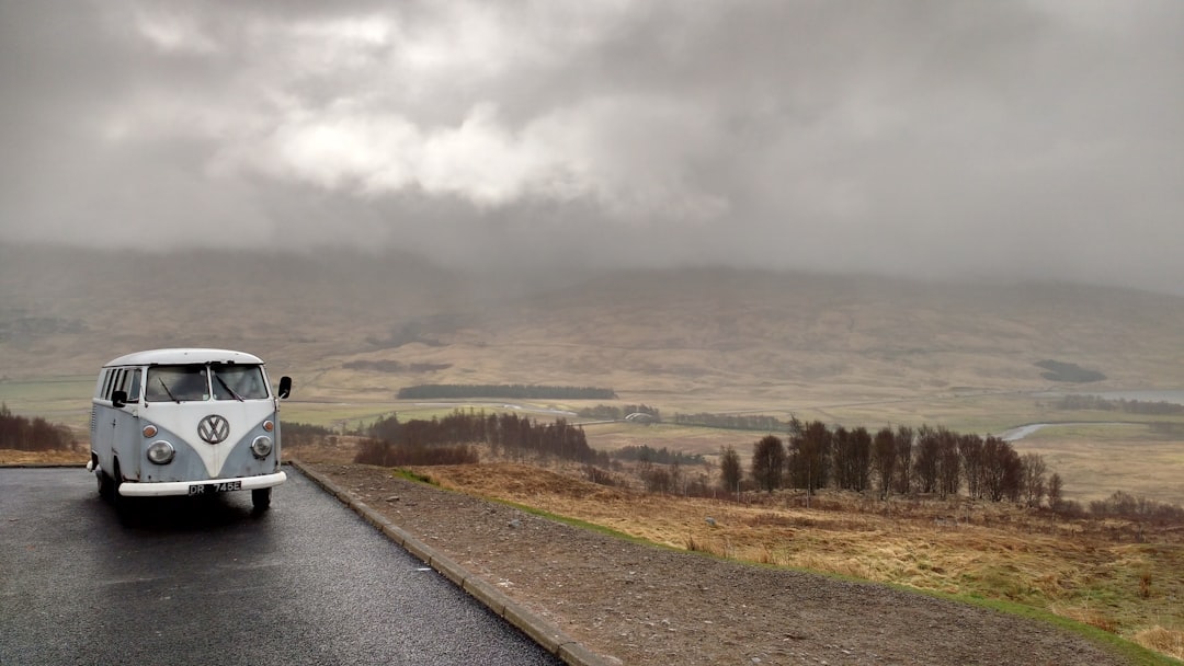 white and gray Volkswagen van on road beside grass at daytime,
