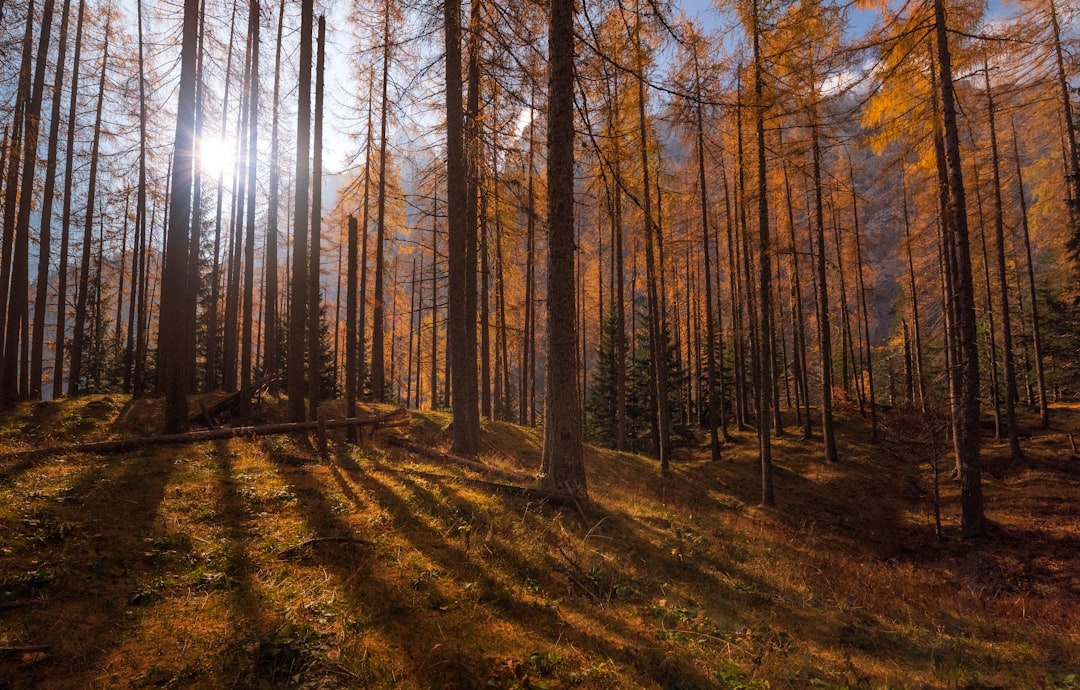 Natural landscape photo spot VrÅ¡iÄ� Pass Slovenia