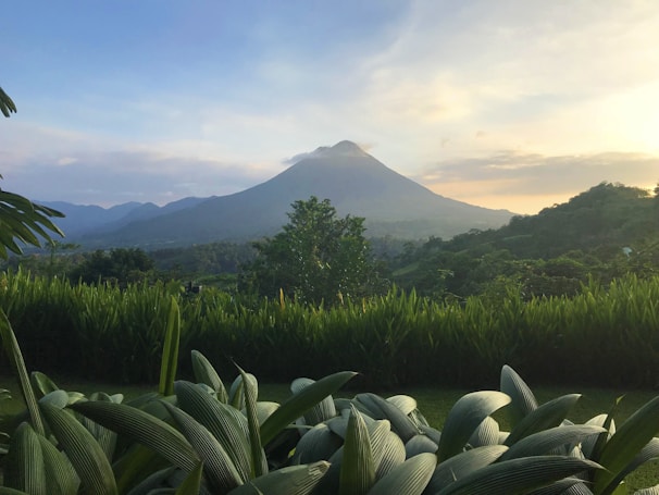 A serene view of a hotel room with large windows overlooking lush greenery and volcanoes.