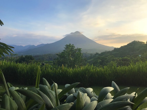 A lush landscape with a prominent volcano in the background, surrounded by verdant hills under a partly cloudy sky. In the foreground, large green leaves are visible, enhancing the natural and serene setting.
