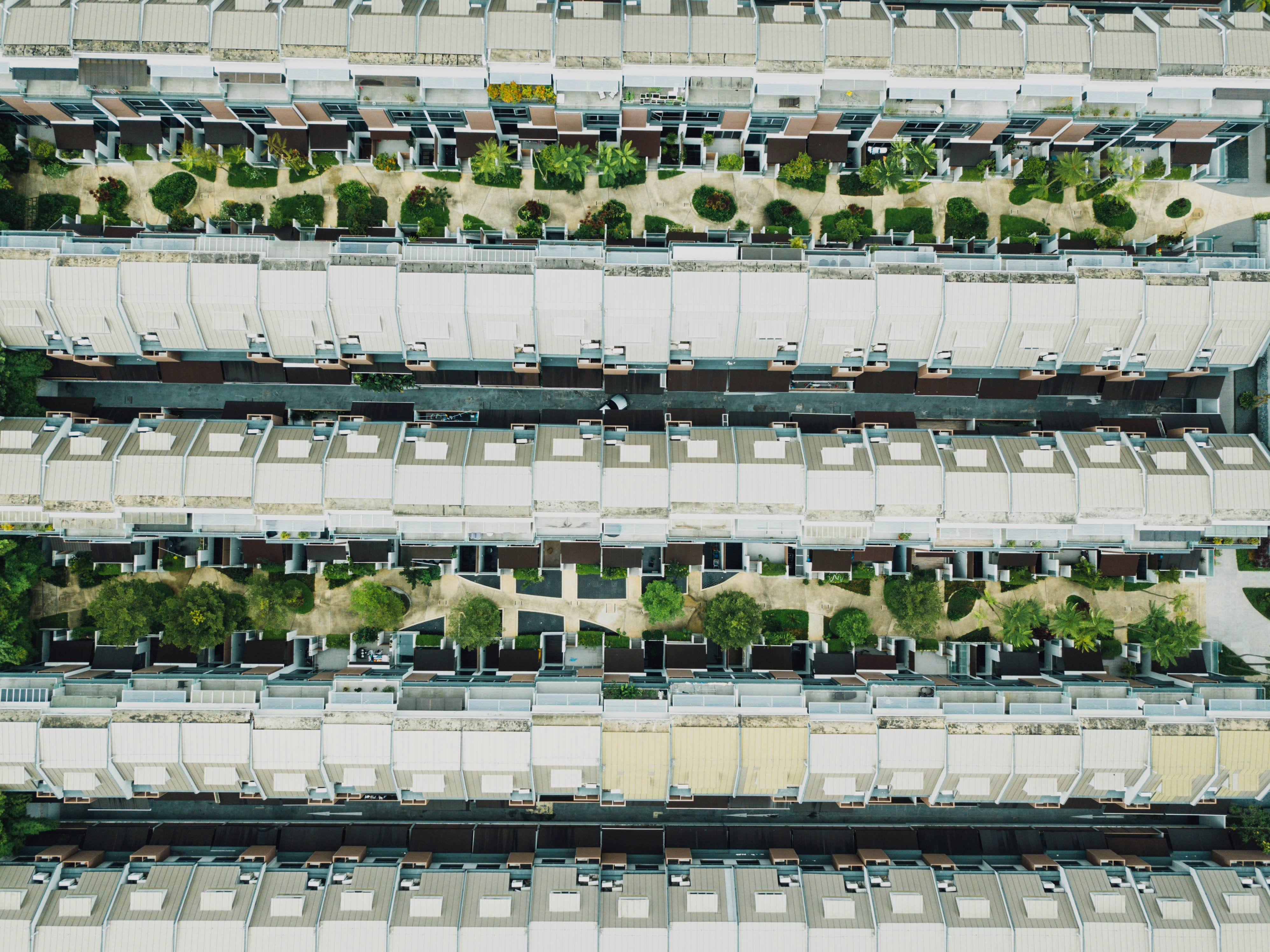 Photo by chuttersnap