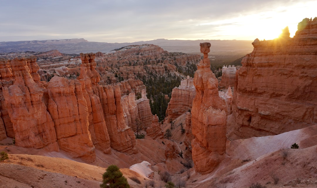 brown canyon, Took this picture at sunrise in Bryce Canyon National Park. Incredible views.