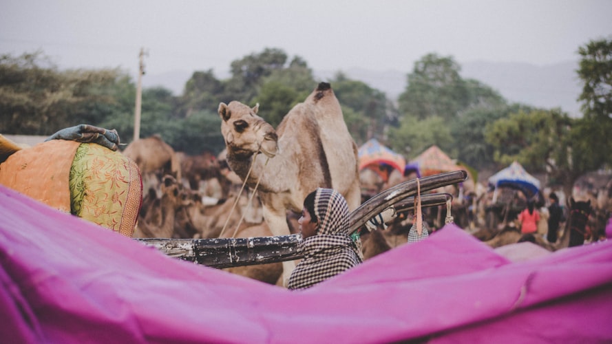 indian-tribess-and-nomads