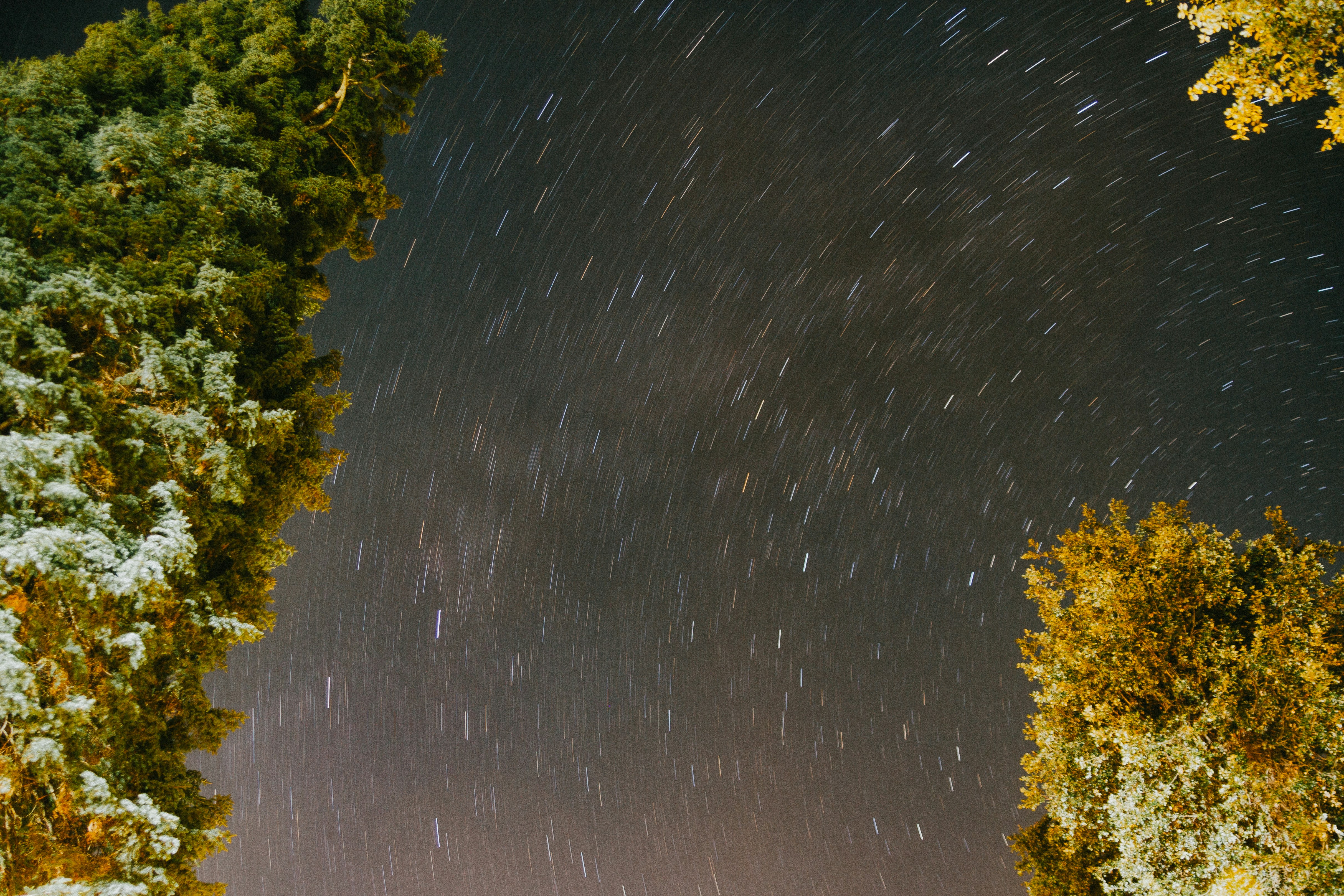 Photo by vincefleming