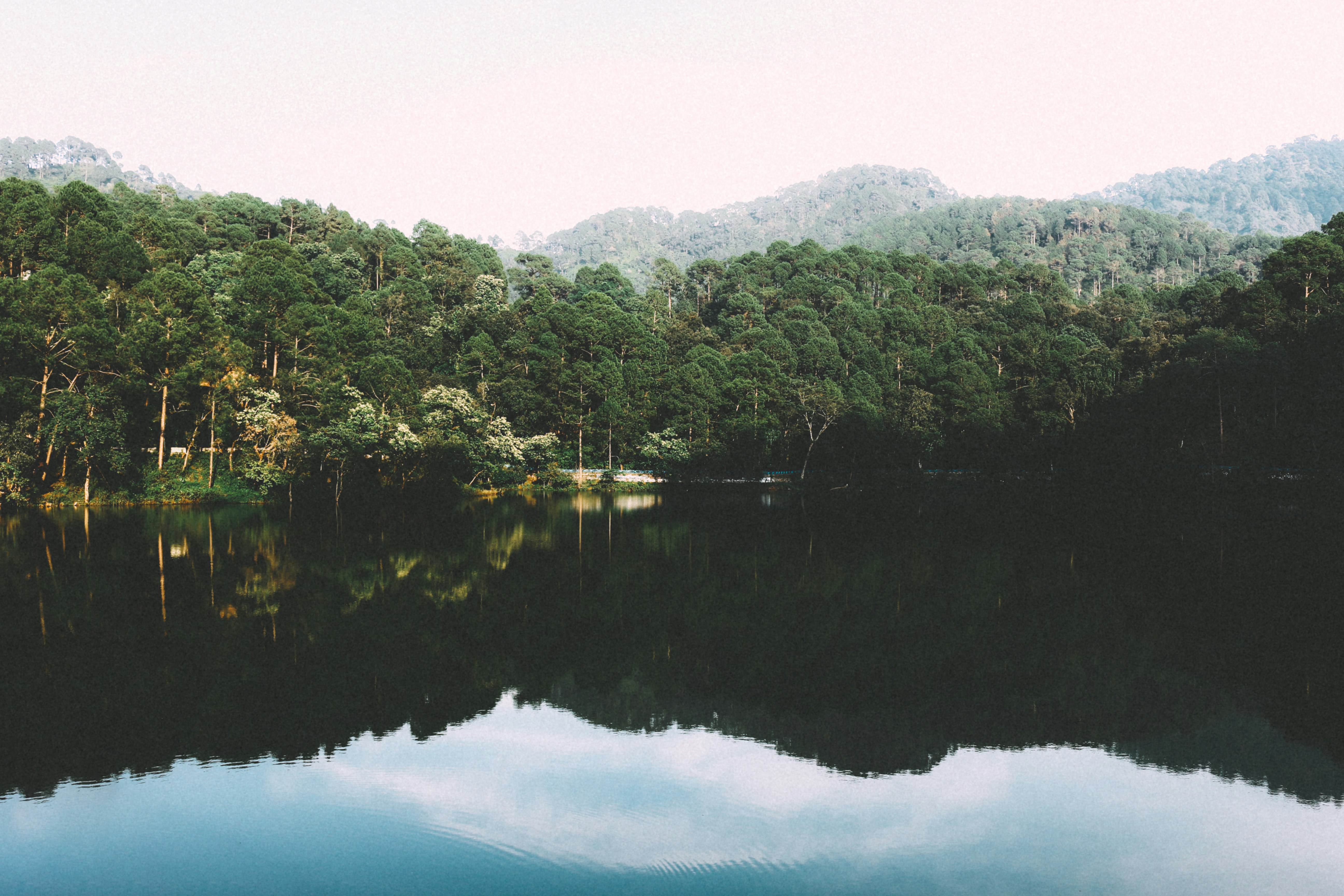 Photo by aniket940518