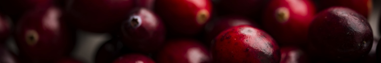 shallow focus photography of red berry lot