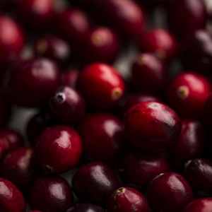 shallow focus photography of red berry lot