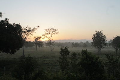 Soft-focus image of a serene nature landscape at sunrise, evoking calm and renewal.