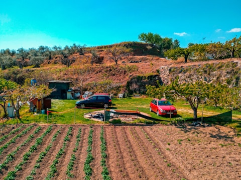 A rural landscape featuring a neatly cultivated farm plot with visible rows of green plants. Two cars, one black and one red, are parked on a grassy area. Several trees with sparse foliage are nearby, and a simple structure or shed is present. A backdrop of a rugged hill serves as the horizon, crowned with various trees and shrubberies.
