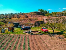 A rural landscape featuring a neatly cultivated farm plot with visible rows of green plants. Two cars, one black and one red, are parked on a grassy area. Several trees with sparse foliage are nearby, and a simple structure or shed is present. A backdrop of a rugged hill serves as the horizon, crowned with various trees and shrubberies.