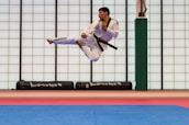 A martial artist performing a high kick in mid-air inside a dojo, wearing a white gi with a black belt. The background is a grid of translucent panels and training mats cover the floor.