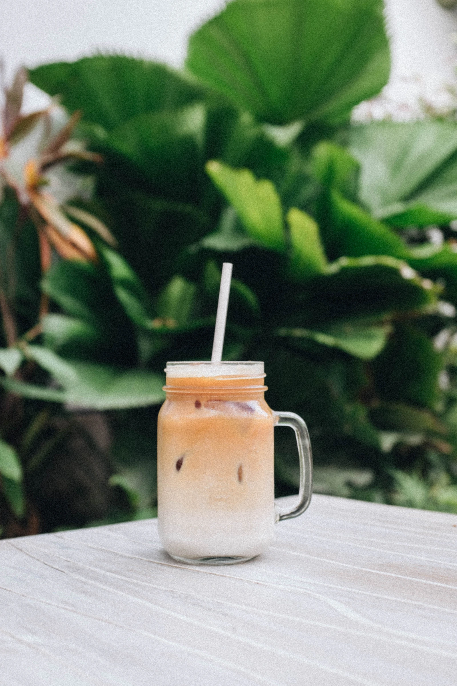 A glass mason jar of iced milk tea with a straw in front of leafy green plants
