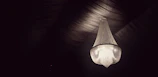 Elegant crystal hanging lamp casting soft light in a cozy living room.