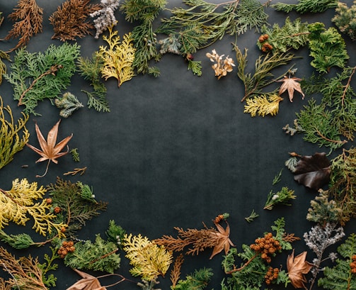 assorted leaves on black textile