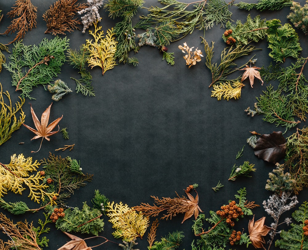 assorted leaves on black textile