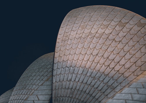 A close-up view of a building with a distinctive pattern of triangular tiles. The structure features a series of curved, overlapping shell-like forms with a textured surface against a dark background.