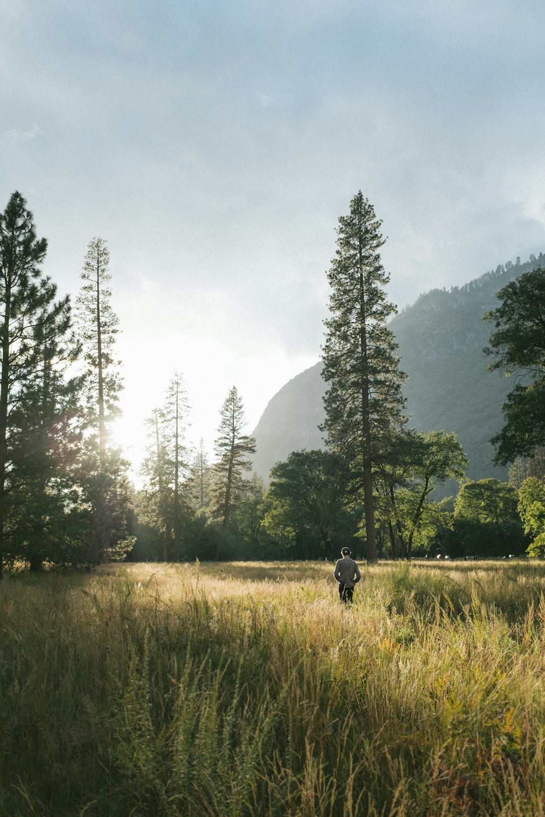 Forest photo spot El Capitan Meadow Taft Point