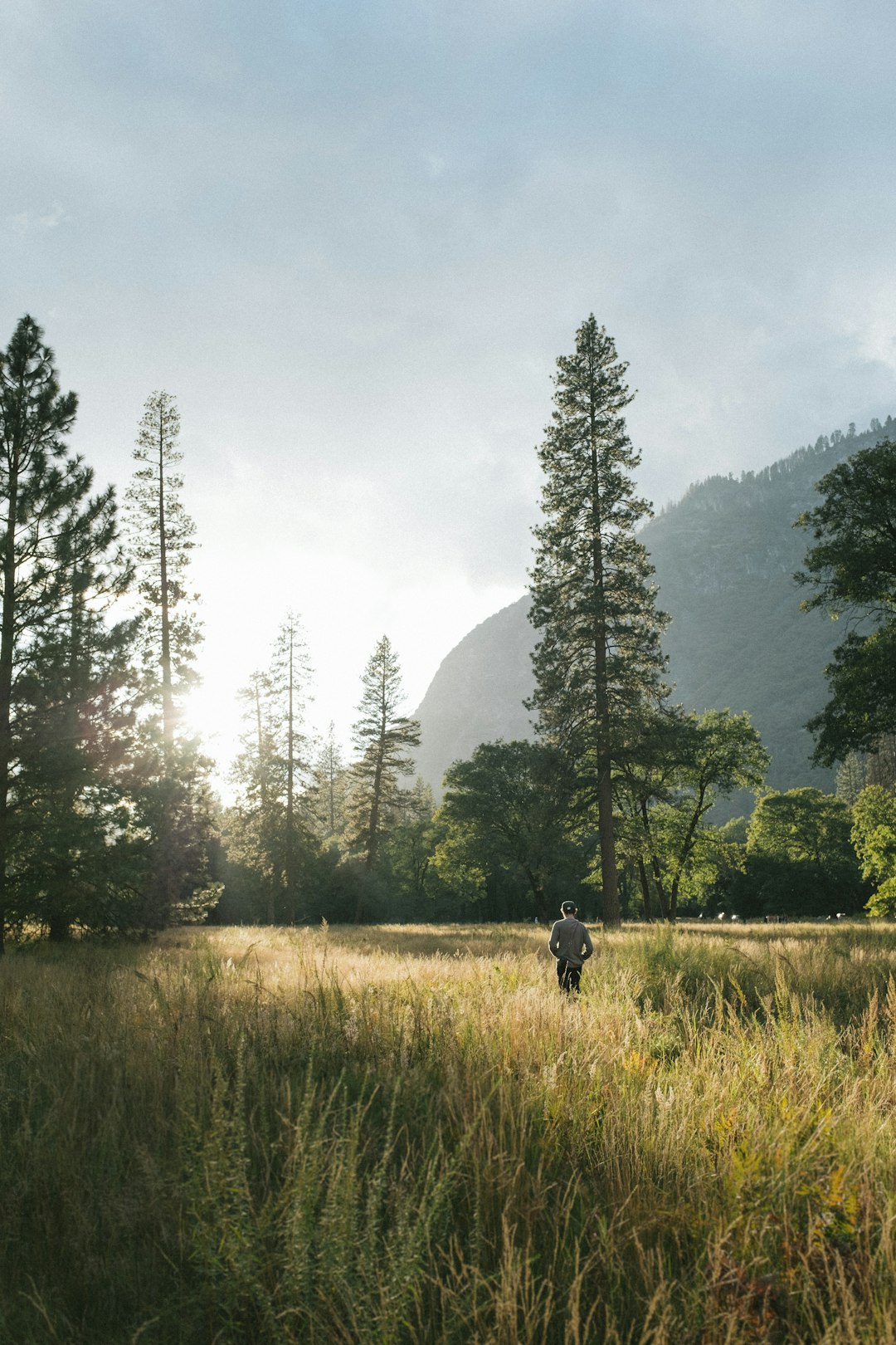Forest photo spot El Capitan Meadow Yosemite Valley
