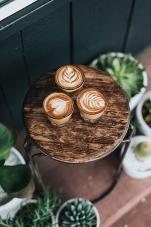 Three cups of coffee with elaborate latte art sit on a rustic wooden table. Surrounding the table are various potted succulent plants, adding a touch of greenery to the scene.