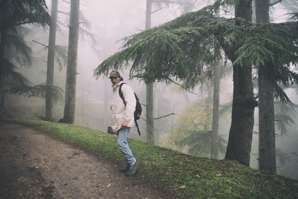 Close-up of a hiker wearing a weatherproof jacket, standing among tall pine trees with mist rising.