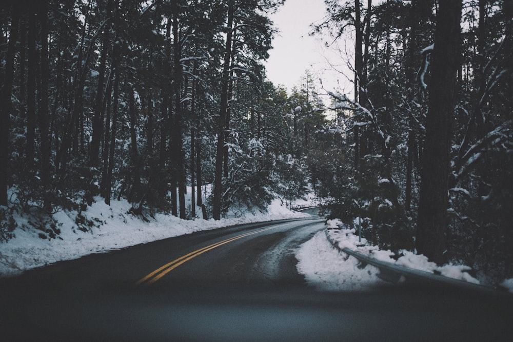asphalt road between snow land