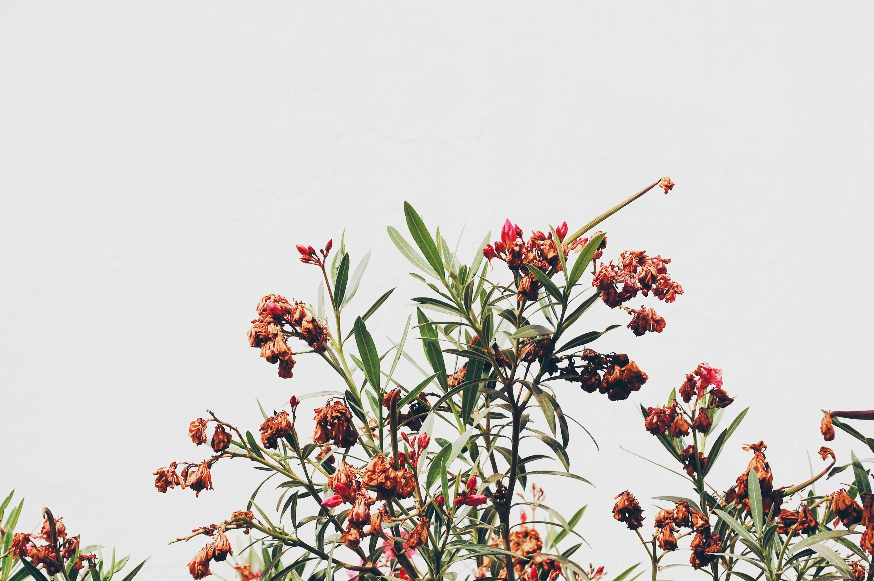 Photo by chloeherriot