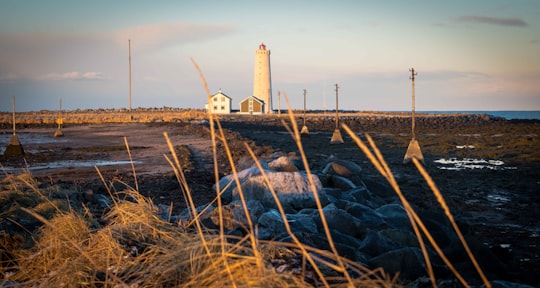 white lighthouse on brown field during daytime in Grótta Island Lighthouse Iceland