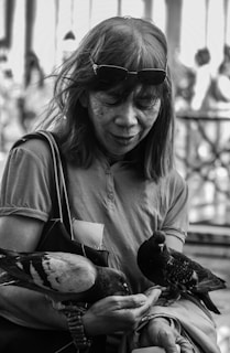 An admin interacting with members on the Syahdan pigeon website, showing the account registration feature