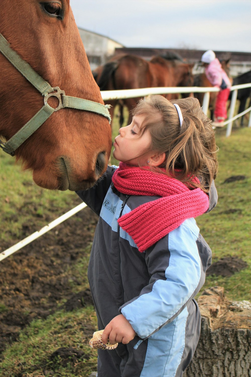 馬にキスする女の子