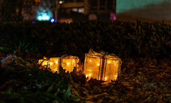 Festive holiday gift boxes surrounded by twinkling lights and pine branches.