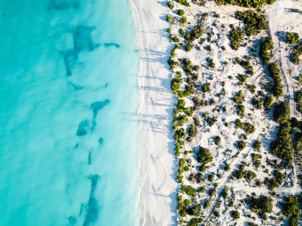 bird's eye photography of shoreline