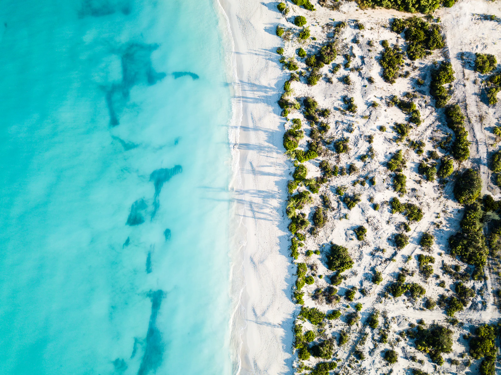 Aerial view of turquoise Caribbean shoreline and open sea, representing the CARICOM region the AI policy roadmap covers