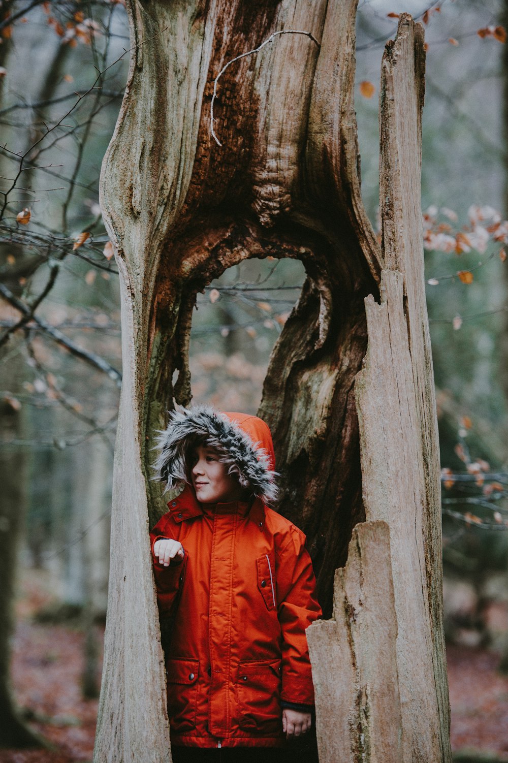 Person, die sich im Baum versteckt