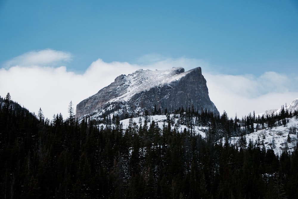 tundra mountain