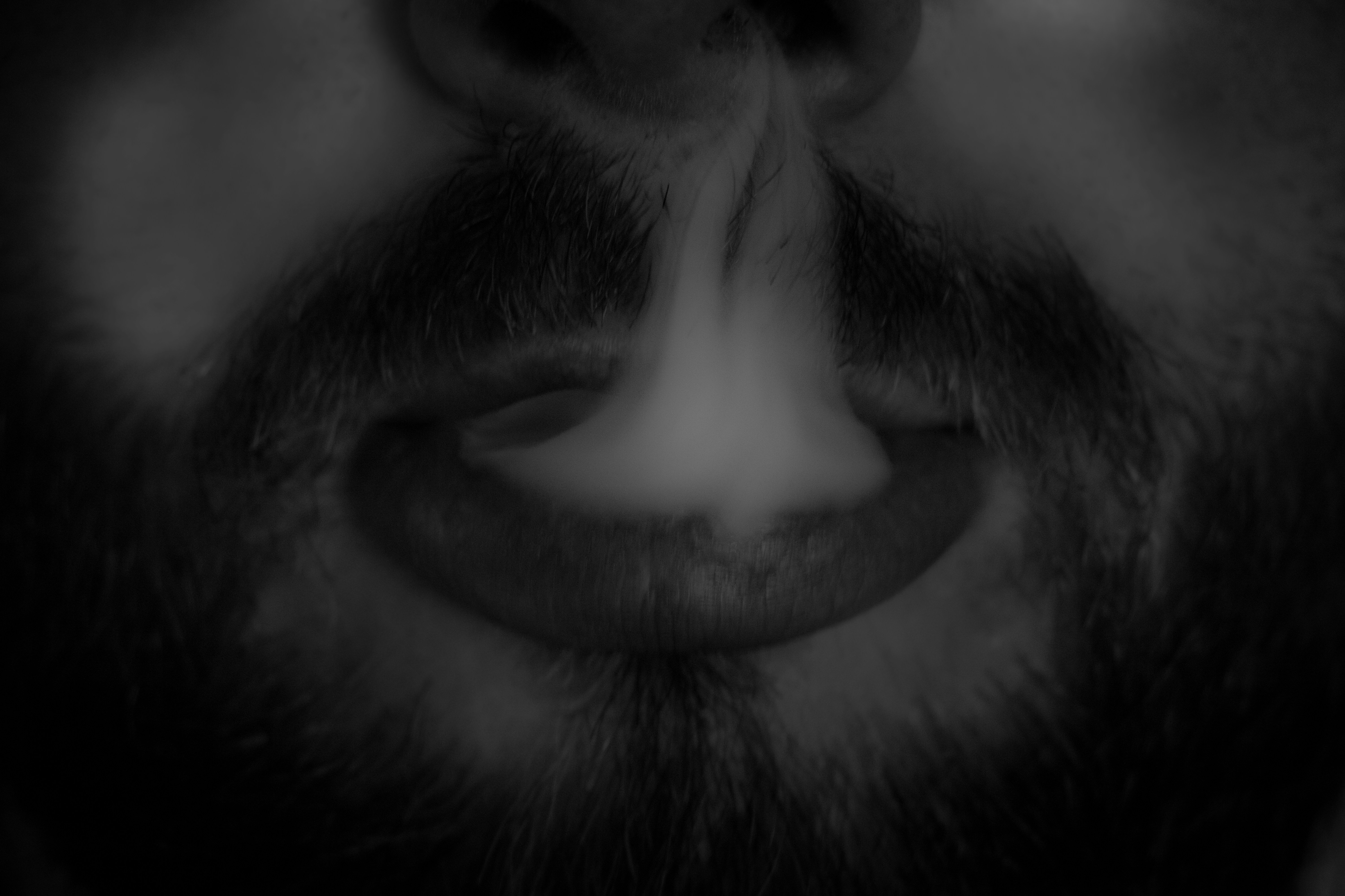 国家不敢动的黑恶势力