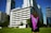 A graduate stands on a grassy area facing a group of tall modern buildings on a clear day, wearing a black gown with a purple sash. The scene conveys a sense of accomplishment and anticipation.