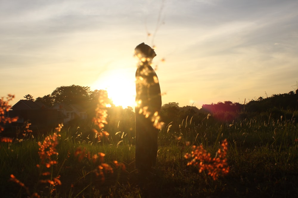 Silhouette einer Person, die auf dem Feld steht, während sie nach oben starrt