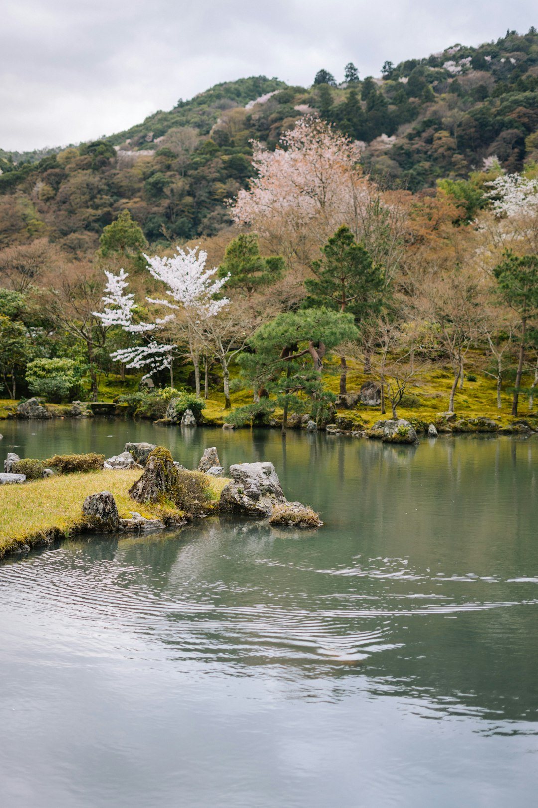 River photo spot Kyoto Arashiyama Station