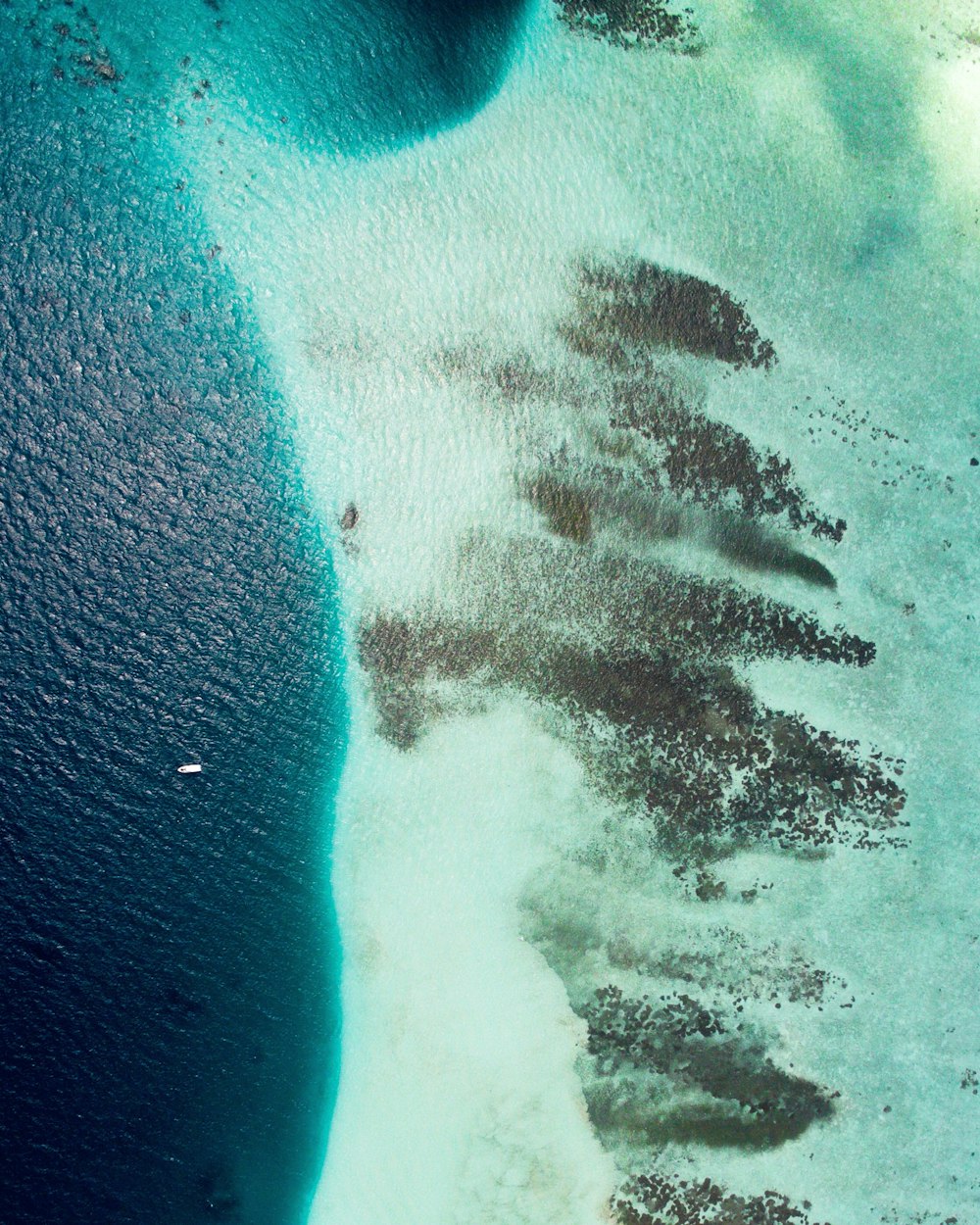 bird's eye view of island