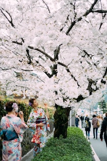 white flower trees