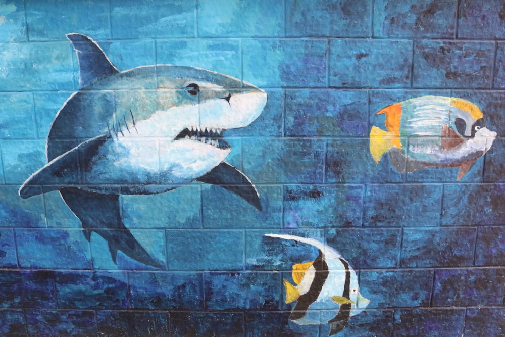 shark and two fishes wall graffiti