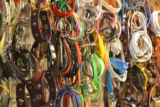 A variety of colorful pet collars and leashes hanging on a display rack.