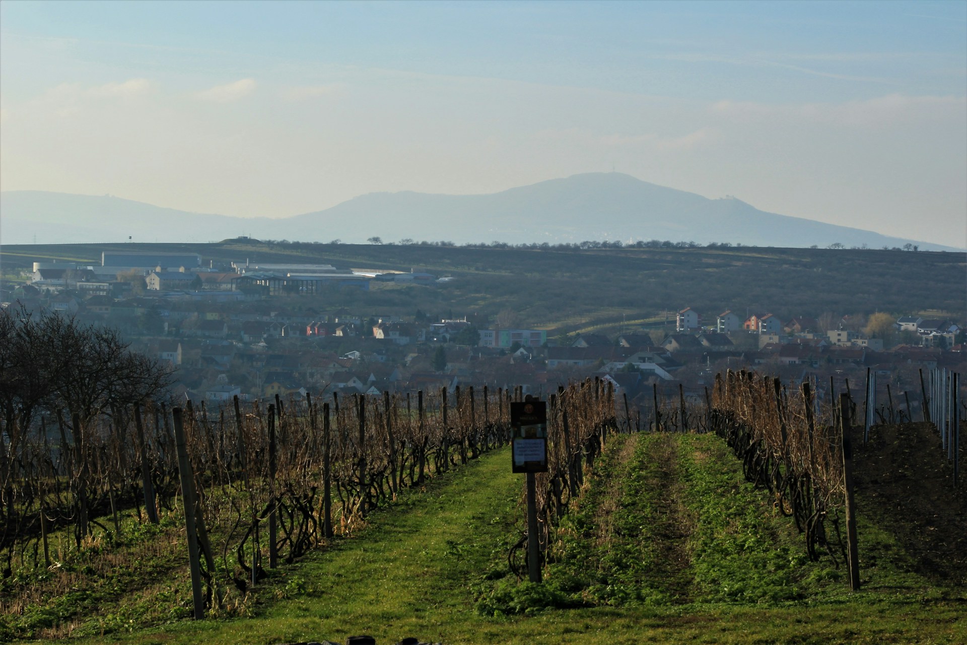 gray computer monitor