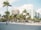 palm trees near buildings