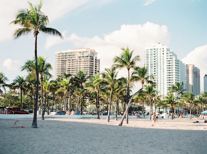 Miami fleet catalog