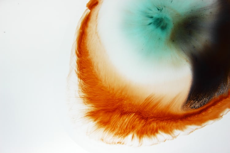 HD photo by Adrien Converse HD photo by Adrien Converse