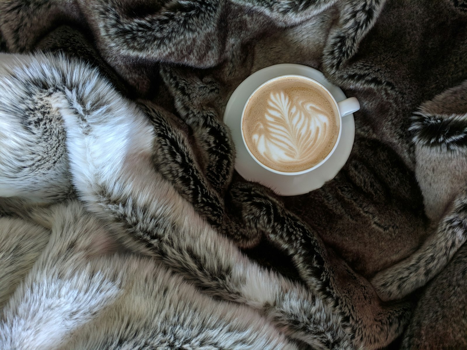Google Pixel XL sample photo. Teacup filled with cappuccino photography